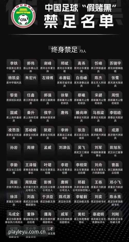从足协禁足名单看中国足球乱象整治：乐鱼体育平台观赛体验提升指南